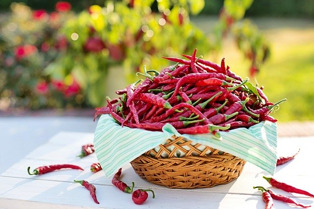 chilli papričky
