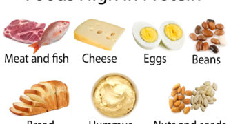 protein bílkoviny