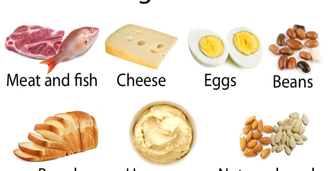 protein bílkoviny