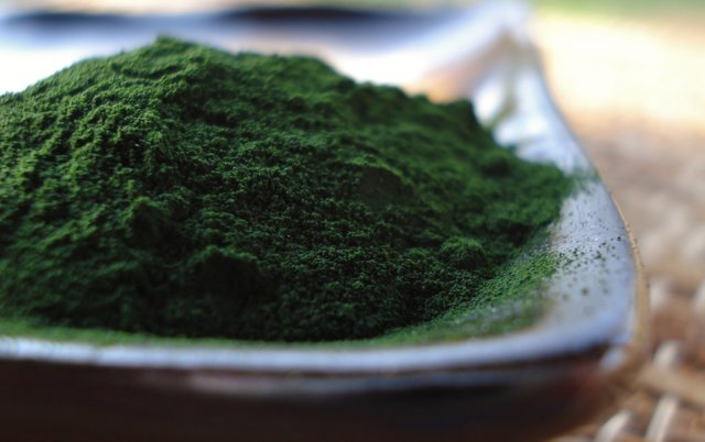proč je dobrý chlorella?
