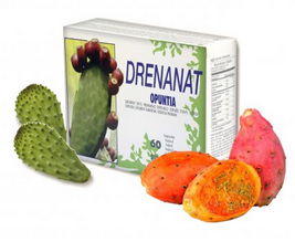 drenanat opuntia naturhouse