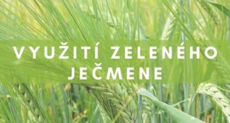 účinky zeleného ječmene