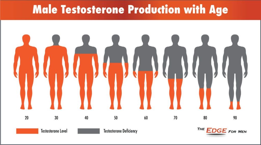 Testosteron graf - hladina testosteronu s věkem klesá