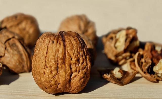 ořechy a semínka