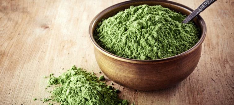 Chlorella a její léčivé účinky