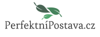 Perfektní Postava