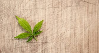 Výroba CBD oleje a vliv na zdraví
