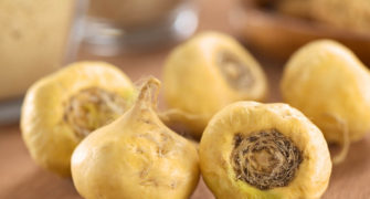 maca peruánská - kořen
