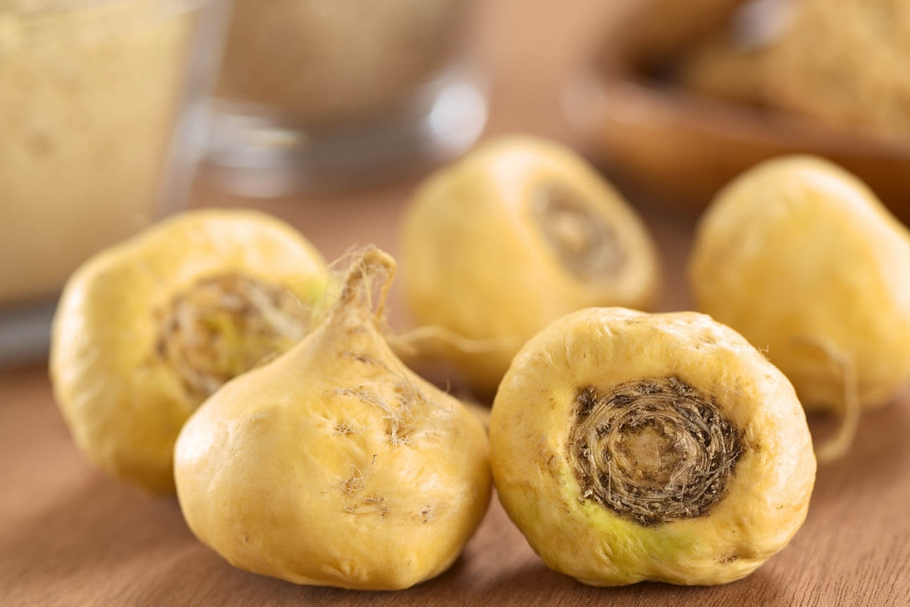 maca peruánská - kořen