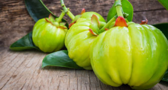 Garcinia cambogia