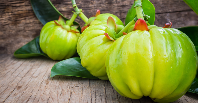 Garcinia cambogia