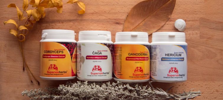 superion herb reishi