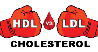 hdl vs ldl