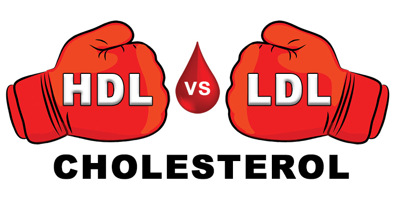 hdl vs ldl