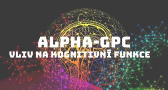 alpha-gpc kognitivní funkce