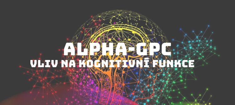 alpha-gpc kognitivní funkce