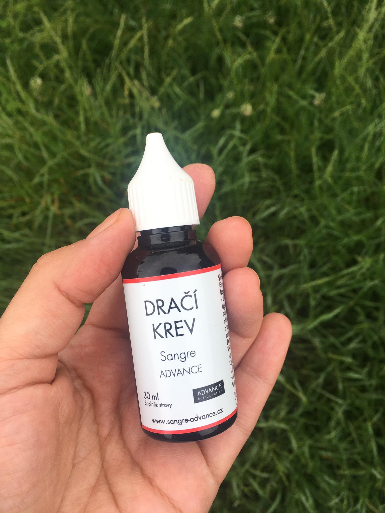 dračí krev sangre