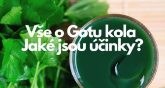 Gotu kola účinky