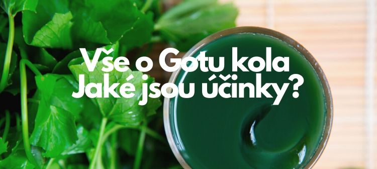 Gotu kola účinky