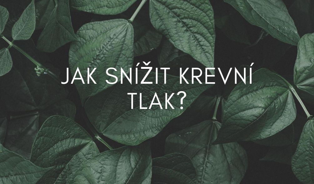 Jak snížit krevní tlak