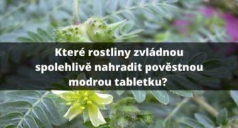 kotvičník, guarana a ašvaganda