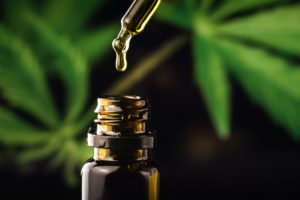 CBD hemp oil in a droplet with marijuana plant