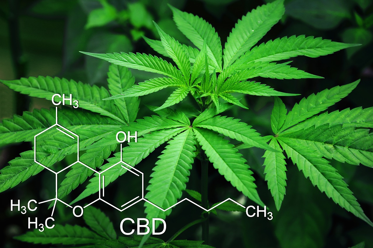 rozdíl cbd a cbg