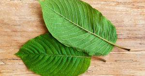 listy kratomu (maeng da)