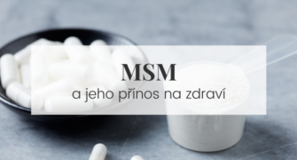 MSM zdraví