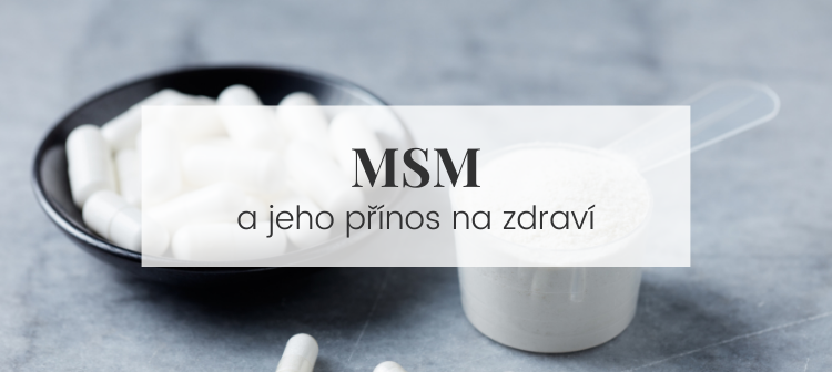 MSM zdraví