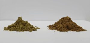 porovnání zeleného a bílého kratomu