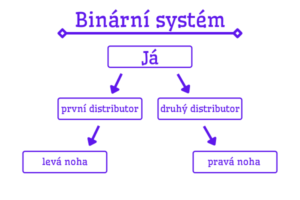 MLM binární systém (co to je)