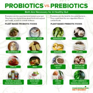 probiotika vs prebiotika
