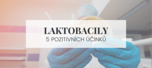 Co to jsou laktobacily