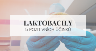 Co to jsou laktobacily