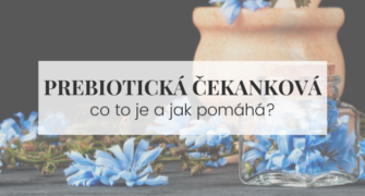 co to je prebiotická čekanková vláknina