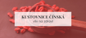 Kustovnice čínská (goji)