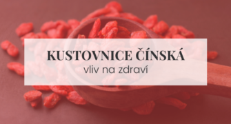 Kustovnice čínská (goji)