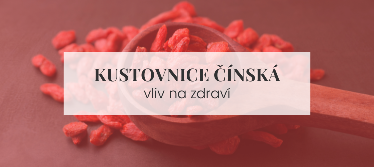 Kustovnice čínská (goji)