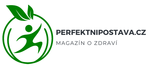 Perfektnipostava.cz logo II